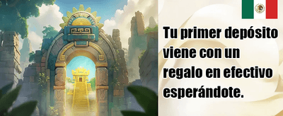Cashback Diario